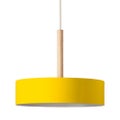 メルクロス製ペンダントライト #003097(Mimosa_YE) メイン画像01