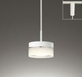 オーデリック製ペンダントライト OP252838LR メイン画像01