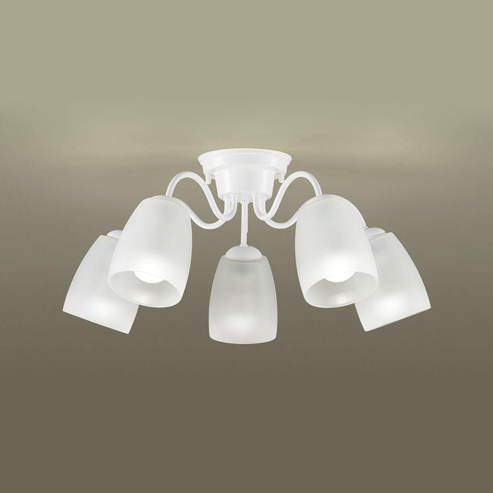 000000002342-01.jpg?size=org&t