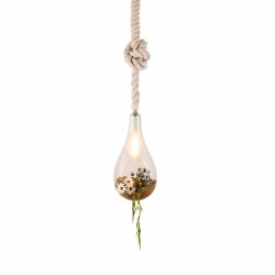 ハンギングテラリウム フェイクグリーン スワン電器製ペンダントライト APE-021FGH/M SW-0072E-CL